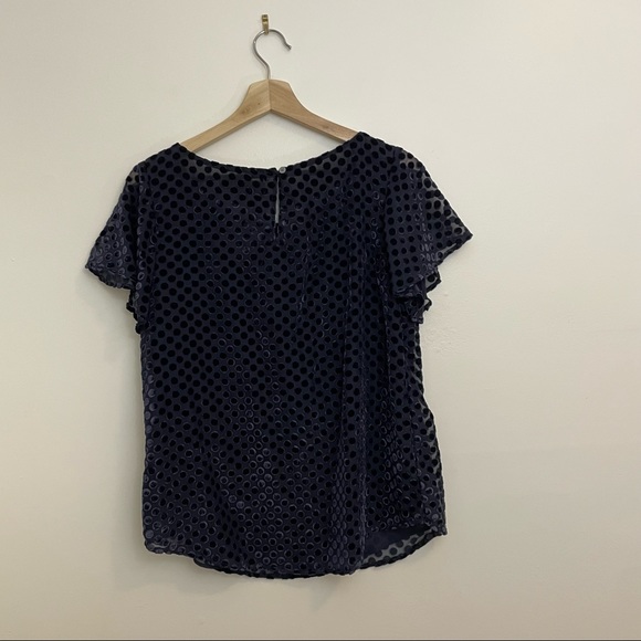 Loft | NWT Velvet Dark Navy Polka Dot Blouse - Picture 6 of 11